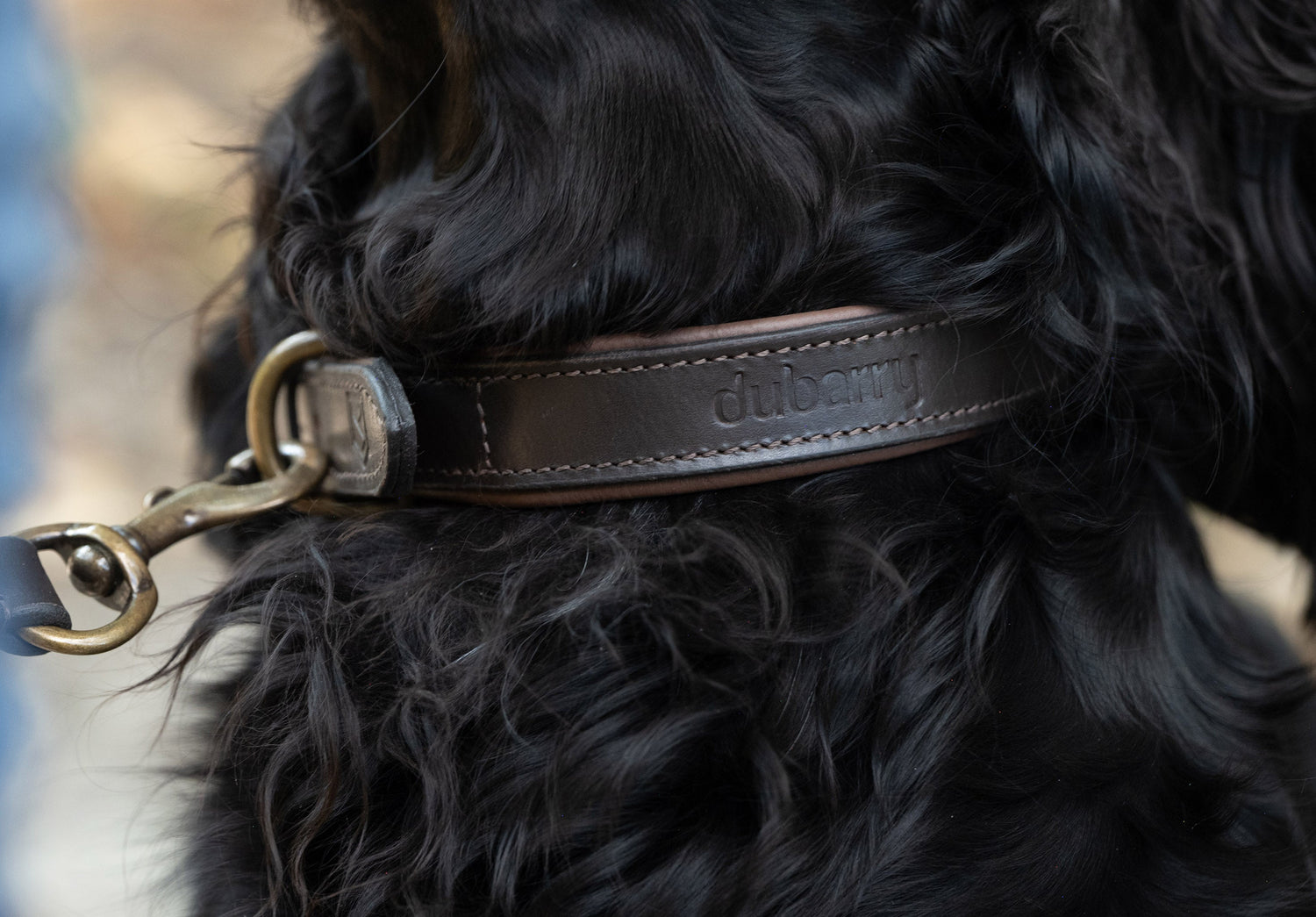 AXEL Leder-Hundehalsband – Mahogany