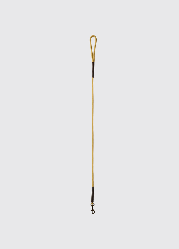 CHARLIE Nylon-Hundeleine – Gold