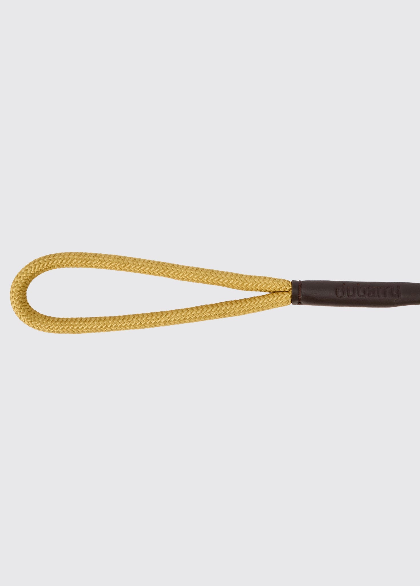 CHARLIE Nylon-Hundeleine – Gold