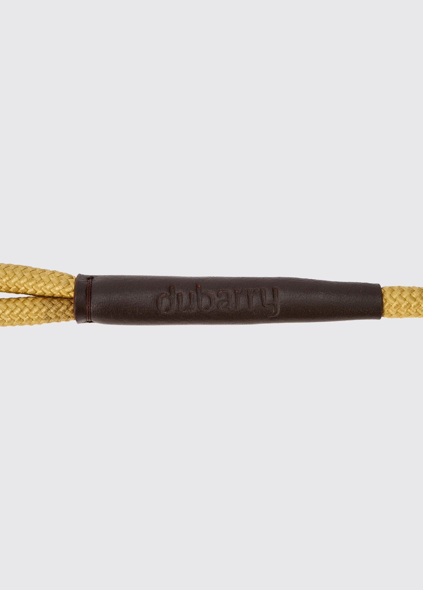 CHARLIE Nylon-Hundeleine – Gold