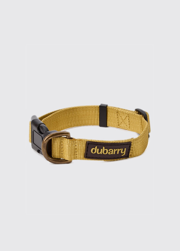 APOLLO Nylon Hundehalsband – Gold