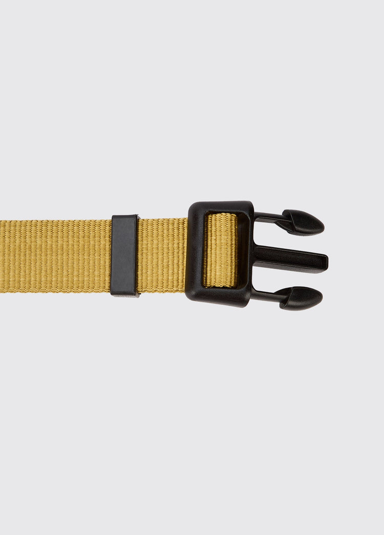 APOLLO Nylon Hundehalsband – Gold