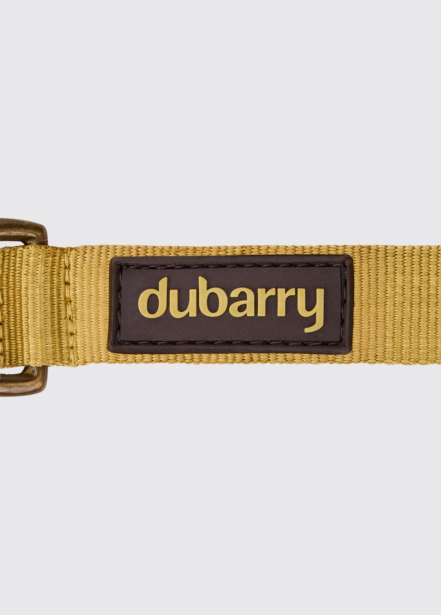 APOLLO Nylon Hundehalsband – Gold