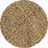 Elm