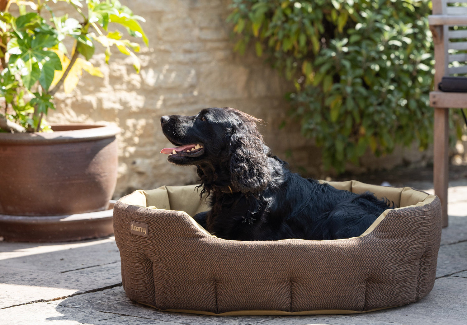 BUSTER Tweed-Hundebett – Mocha