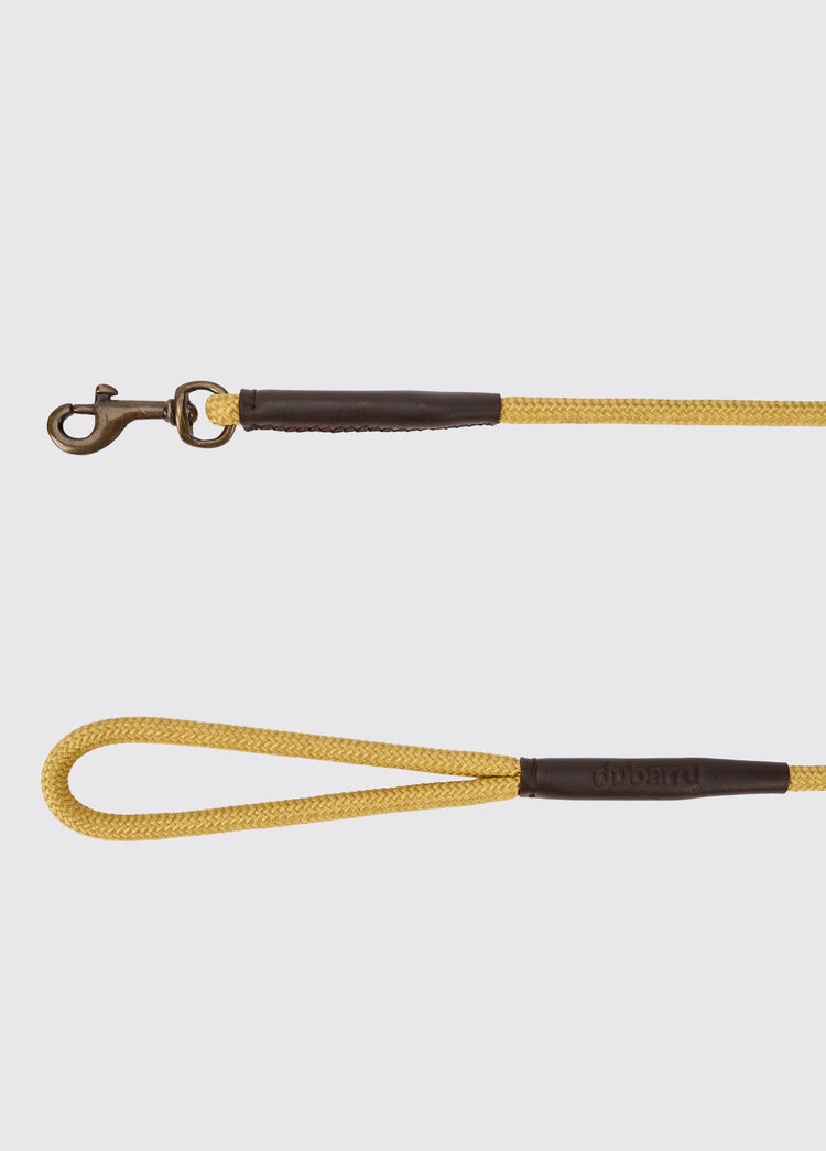 CHARLIE Nylon-Hundeleine – Gold