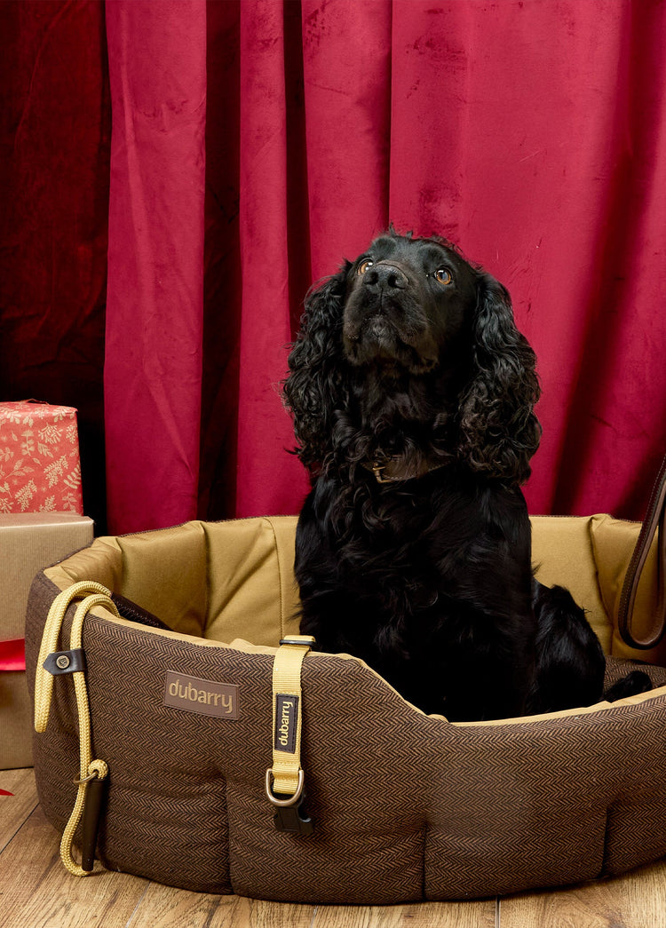 Buster Tweed-Hundebett – Mocha